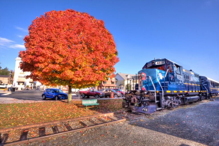 a blue ridge scenic railway train is parked next to a tree with bright orange leaves and vibrant fall colors.